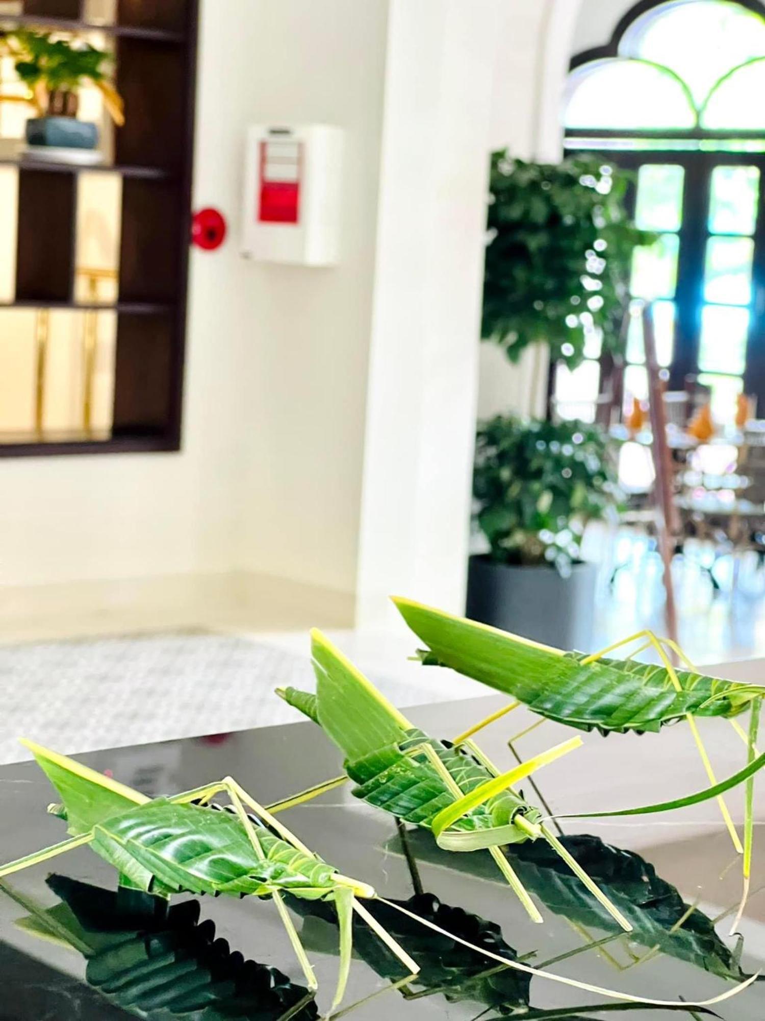 Little Residence - A Boutique Hotel & Spa Хоян Екстер'єр фото